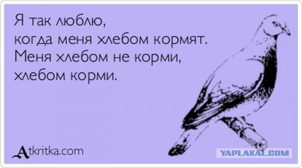 Смешные комментарии из социальных сетей (40 фото)