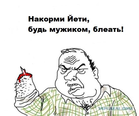 Знакомство с Йети