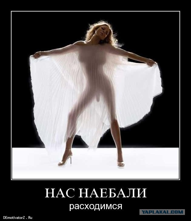 Няши отакуют аэропорт