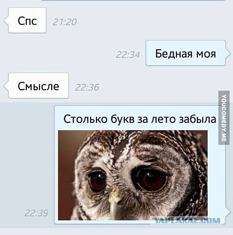 Забавные картинки
