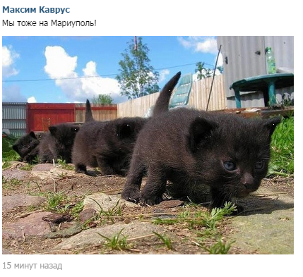 Под Мариуполем идет разведка боем, Тарута просил н