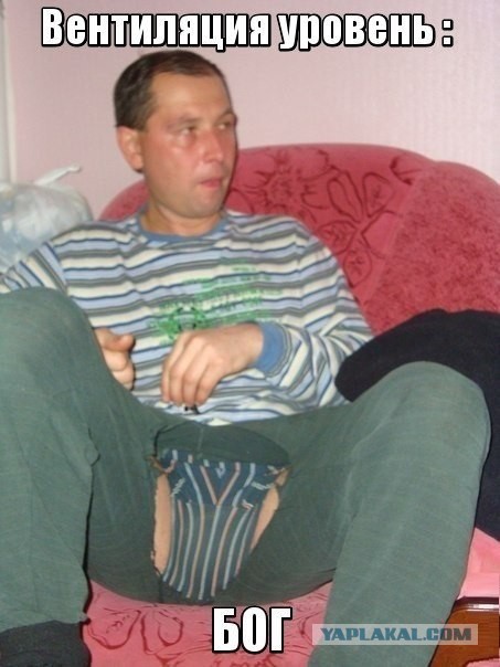Свежие картинки из сети