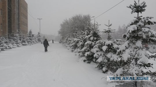 А тем временем в Хабаровске