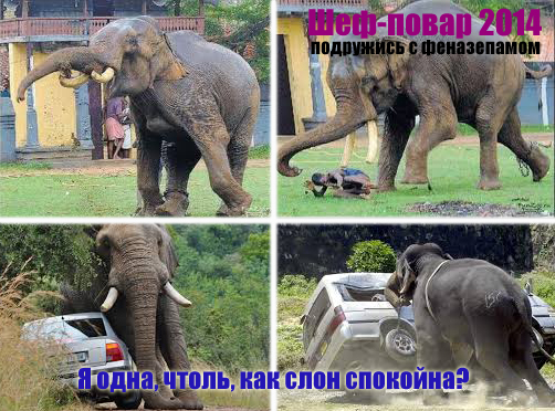 Второй этап конкурса «Шеф-повар 2014»