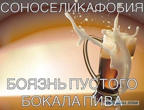 Веселые картинки
