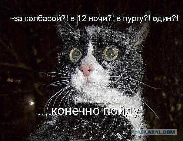 Весёлое из сети