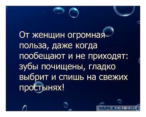 Весёлое из сети