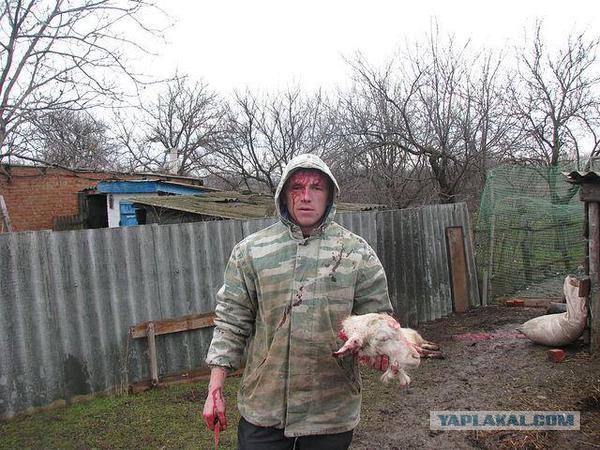 Моторола обращение к мужчинам беженцам из Донбасса