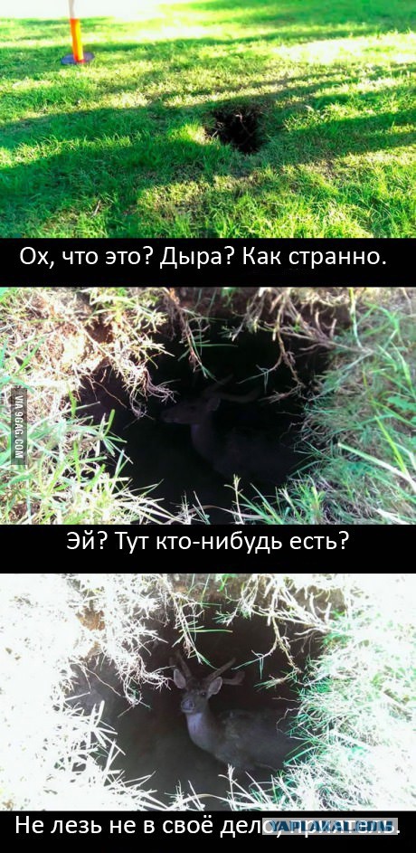 Достал флэшку из старого планшета, а там фото