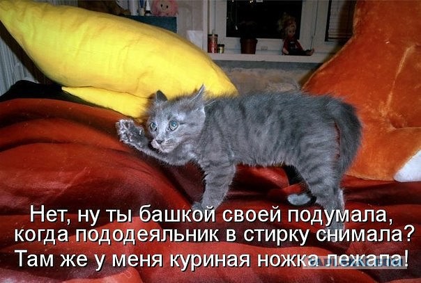 Картинки с просторов на четверг
