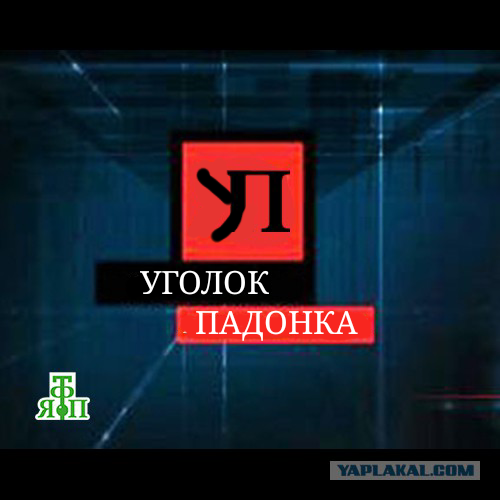 ЯплакалЪ ТВ. Рукожопные логотипы