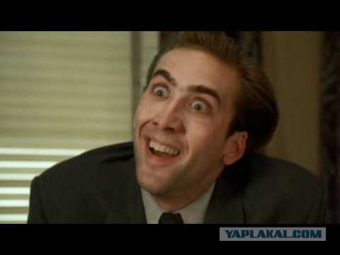 Новый Стоп Хам Спб