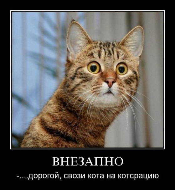 Немного картинок и демотиваторов