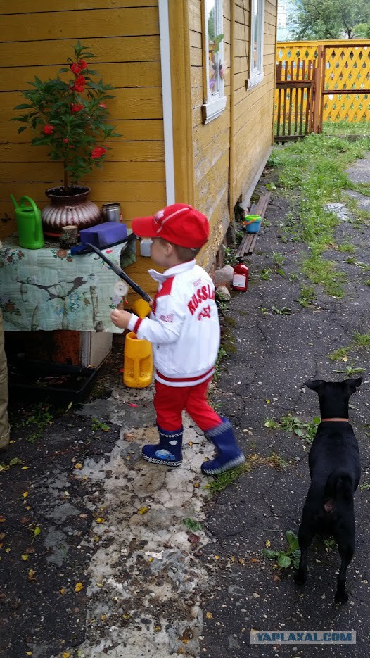 Собакочетверг же, ау!