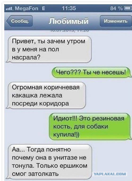 Смешные комментарии на 10.12.2015