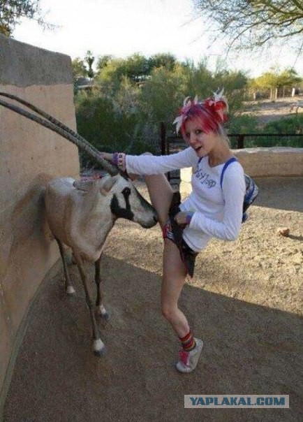 Ужасы и приколы из соцсетей 18+