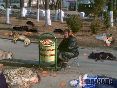 Фотожаба: Бабка и мусорный бак