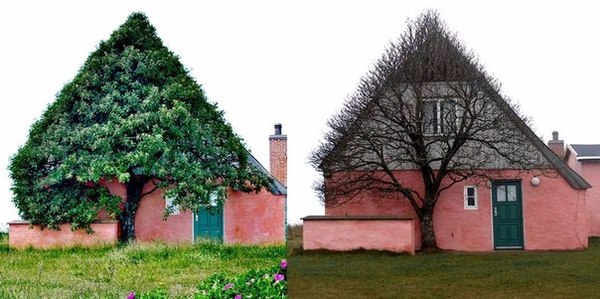 Подборка интересных и веселых картинок