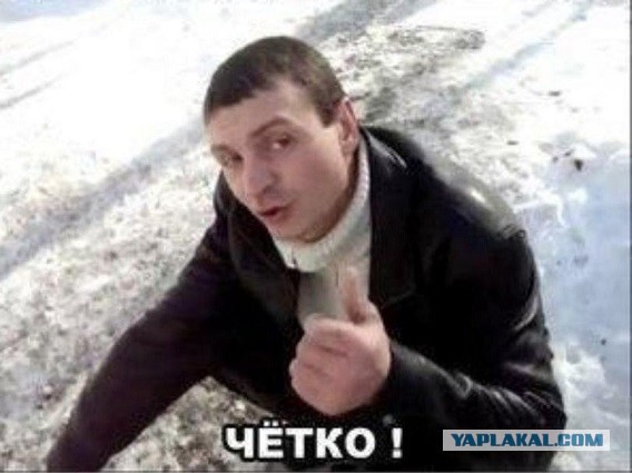 Медвежья сила