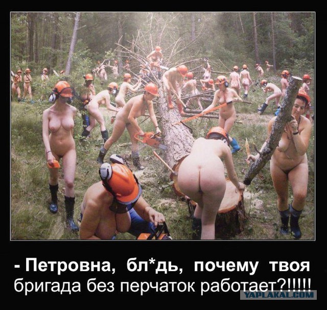 Демотиваторы на выходные