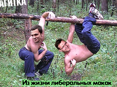 ПОЛИТИКА. Приколы над политиками, выборы и т.п.