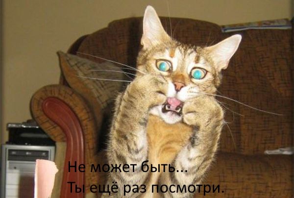 Купил коту вкусняшку в Пятерочке