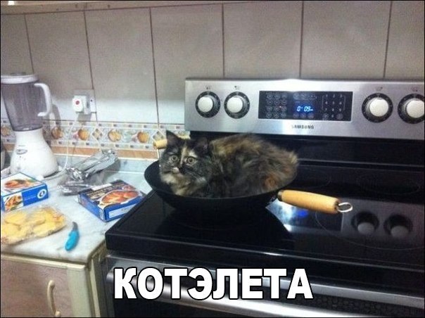 Божьи твари