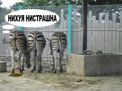 Фотожаба: Невидимый зверь
