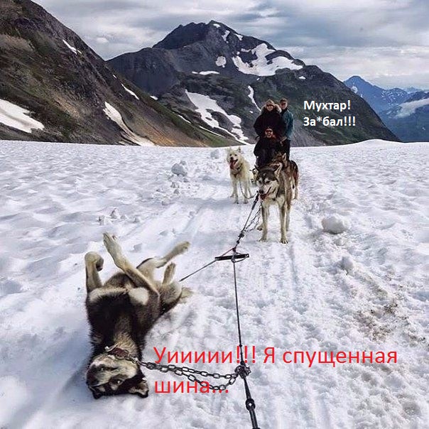 Интересные картинки с описанием