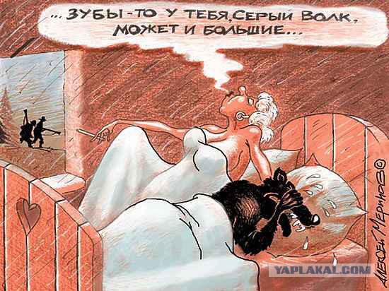 Тайны Красной Шапочки.