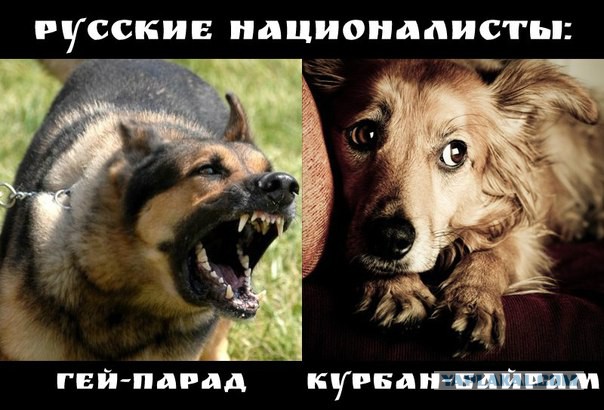 Покатушки на ингушской свадьбе