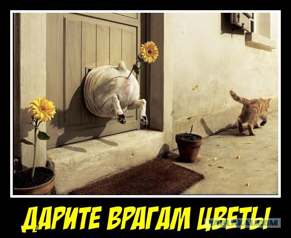 Трамп выгнал Псаки.
