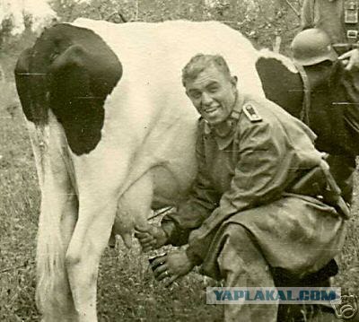 Фотографии к "Нахальному минированию" и "Лехе"