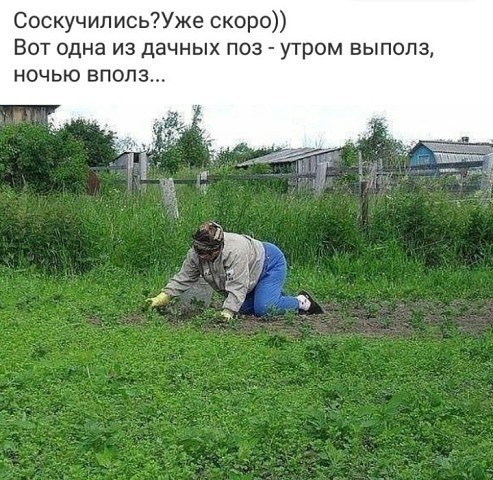 Очередная порция перлов