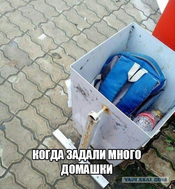 Прикольные картинки 12.06.2017