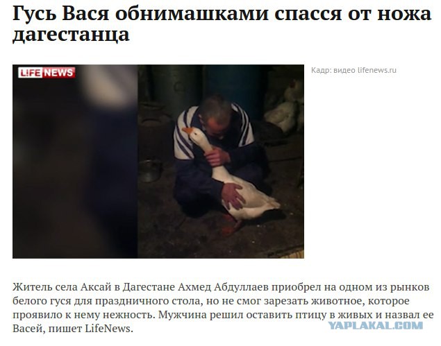 "Слегка" чёрный и абсурдный юморок