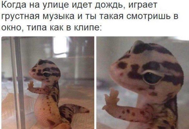 Немного деграданса - 8