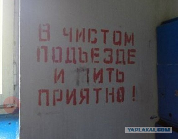 Снова соцсети..