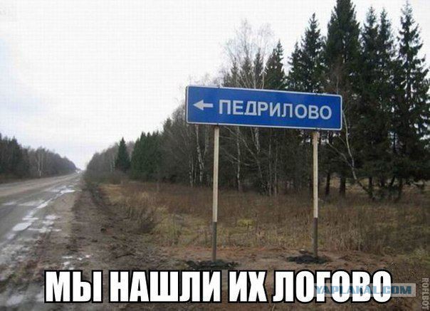 Суд «пожалел» лихача Дзирквадзе