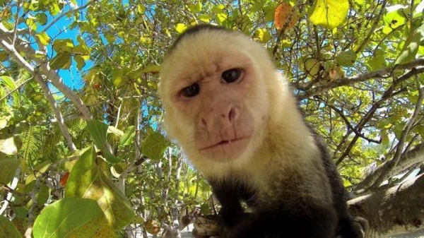 Comedy woman, вы смеётесь над их "шутками" ?