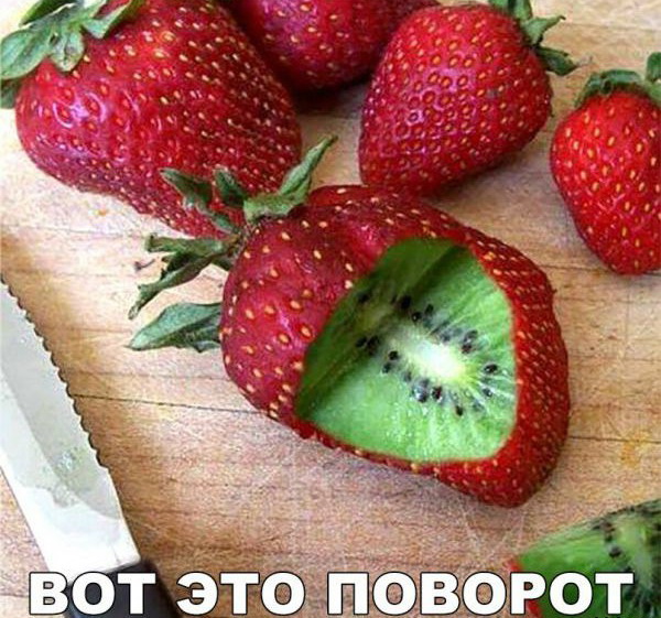 Прикольные картинки обо всем