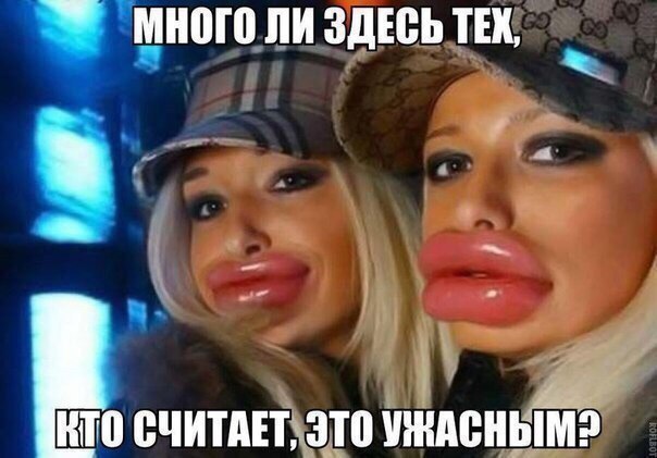 Скотсети и прочие интернеты 26.03.18