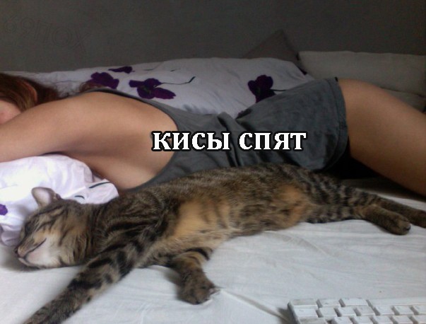Немного картинок в этот понедельник
