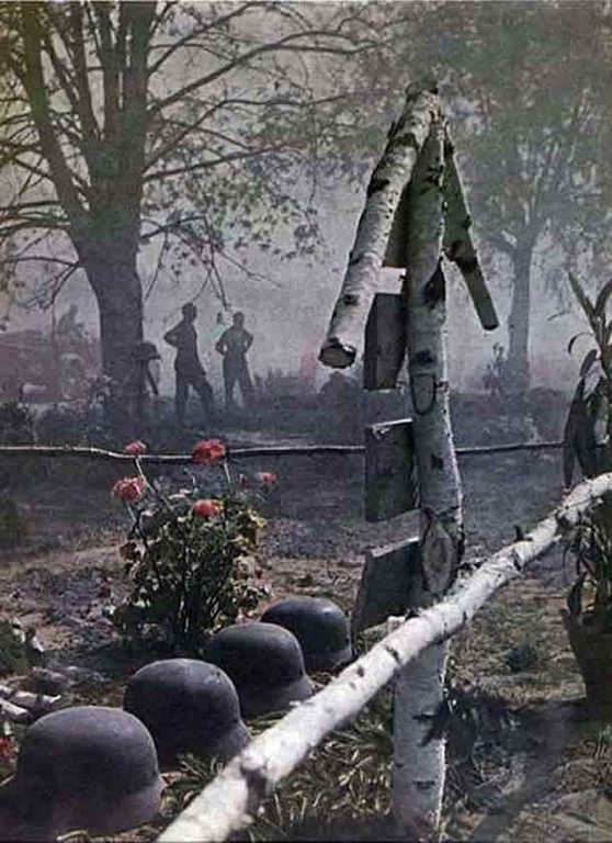 XX век представляет