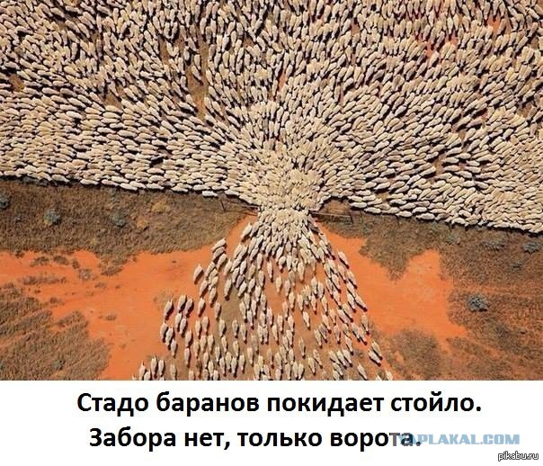 В Петербурге школьницу не пустили на занятия из-за цвета волос