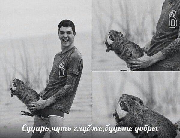 Слегка аморальный и лютый юмор. Только для ценителей
