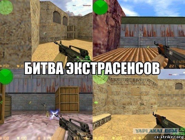 Смешной собаки, картинки кс 1.6 приколы