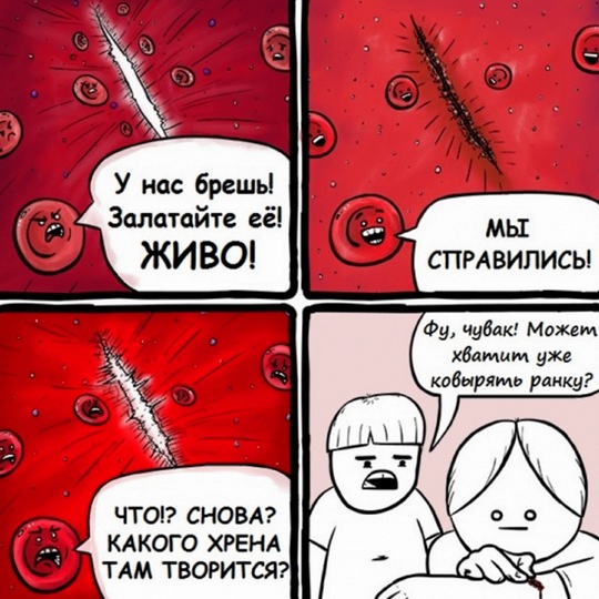 Нестандартный юмор