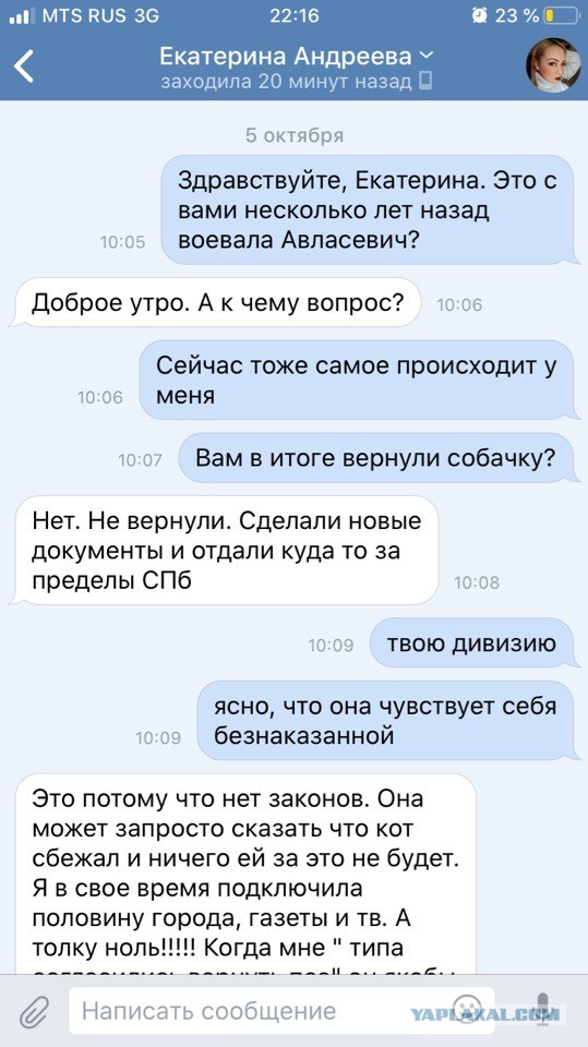 Помогите вернуть кота! Приют "Преданное сердце" украл кота и не отдает!