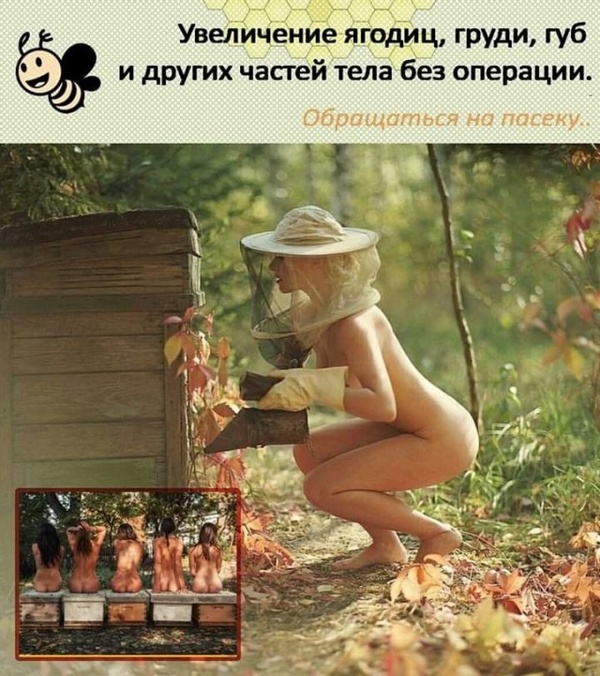 Кретинки